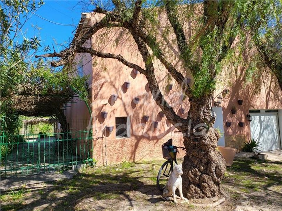Cortijo i Isla Redonda, Sevilla - foto 5