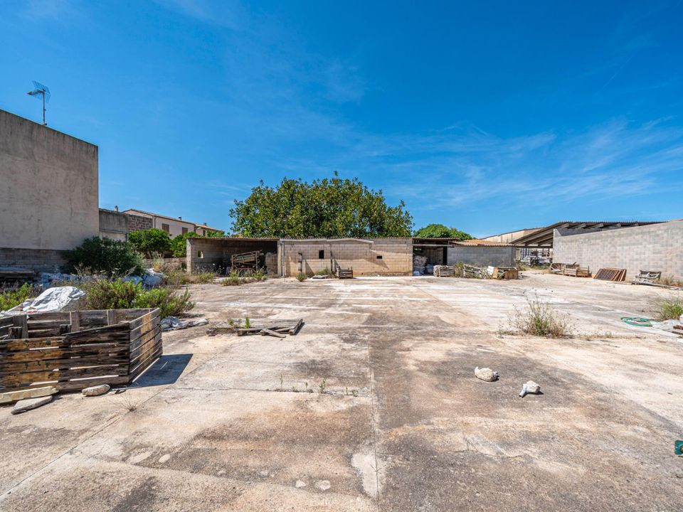 Tomt i Muro, Mallorca - bilde 2