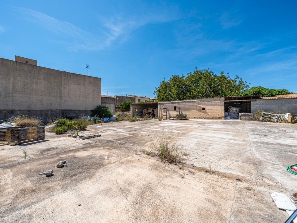 Tomt i Muro, Mallorca - bilde 5