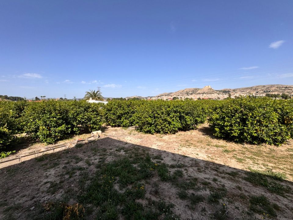 Terreno en Mula, Murcia - foto 1