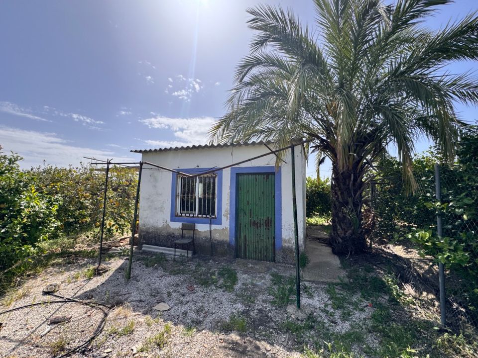 Terreno en Mula, Murcia - foto 4