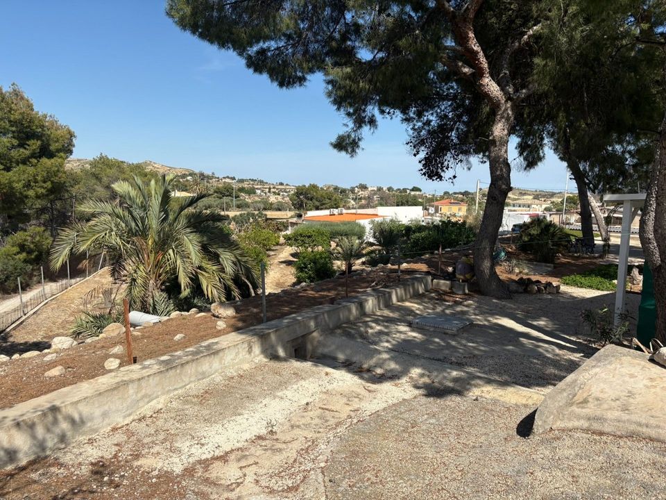 Landejendom i Elche, Alicante - foto 5