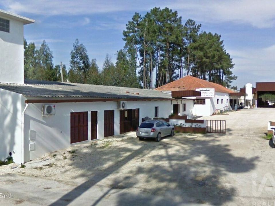 Erhvervsejendom i Anadia, Aveiro - foto 1