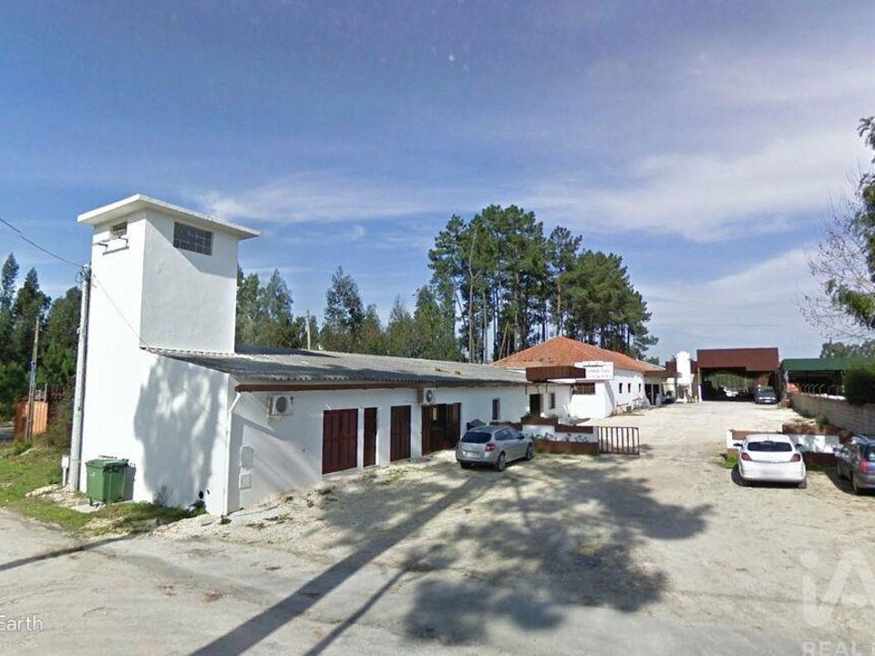 Erhvervsejendom i Anadia, Aveiro - foto 3
