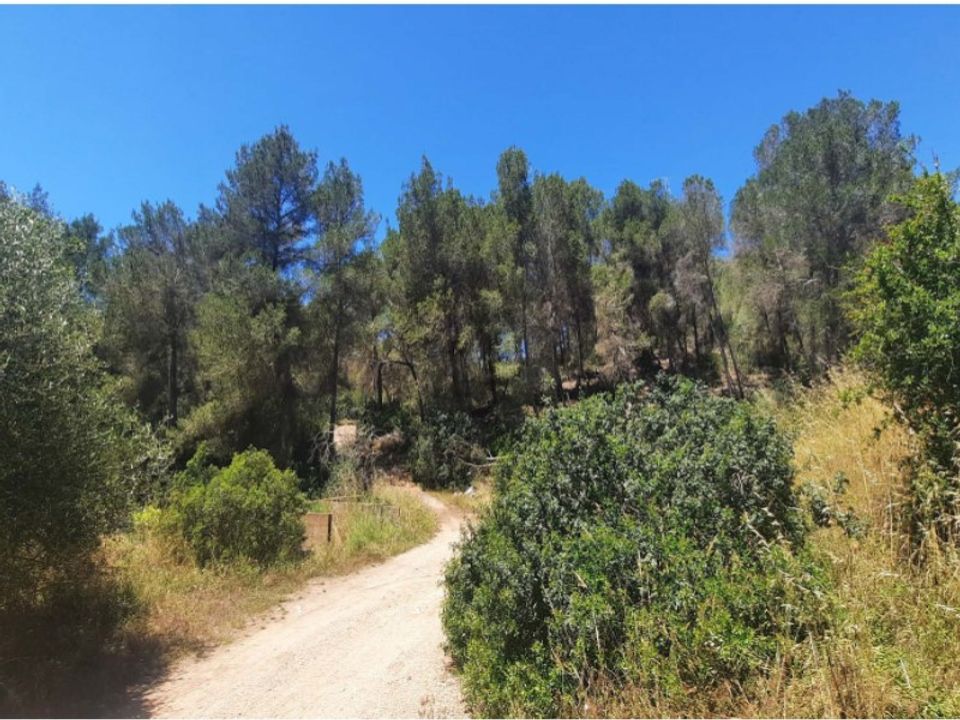 Helårsgrund i San Jordi De Ses Salines, Ibiza - foto 5