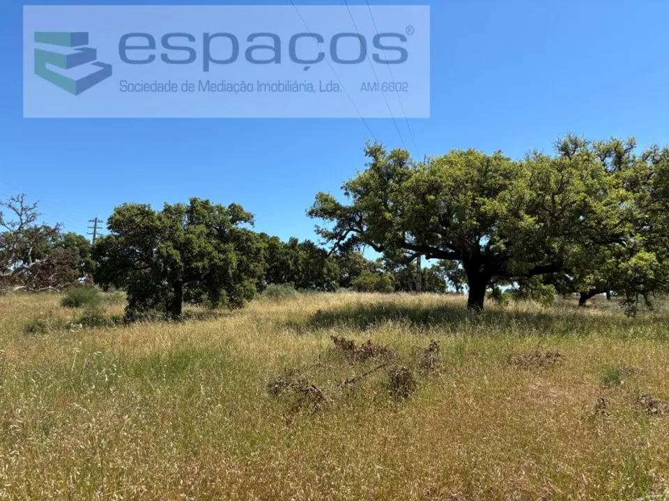 Terreno en Castelo Branco, Castelo Branco - foto 1