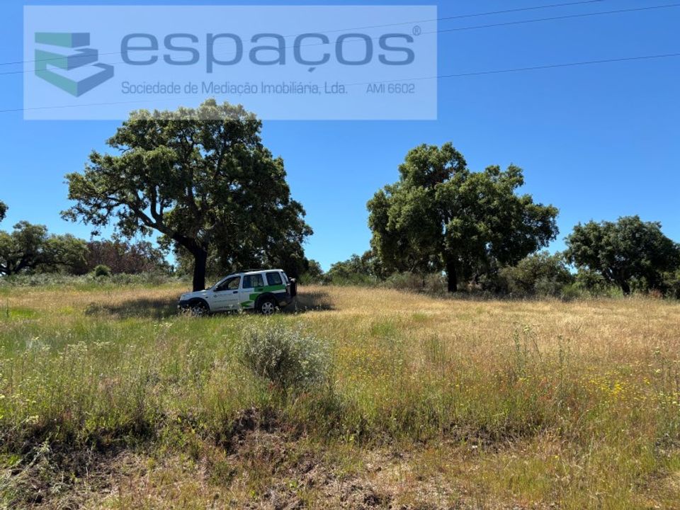 Terreno en Castelo Branco, Castelo Branco - foto 2