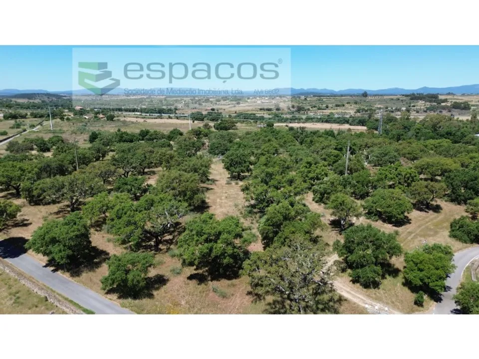 Terreno en Castelo Branco, Castelo Branco - foto 3