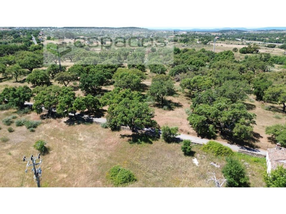 Terreno en Castelo Branco, Castelo Branco - foto 4