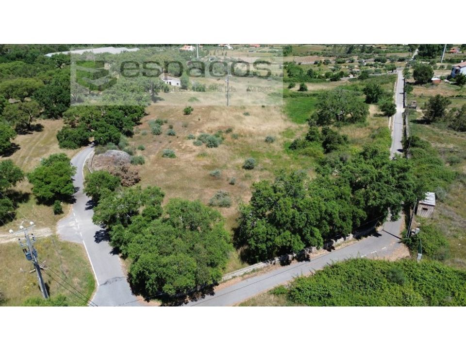 Terreno en Castelo Branco, Castelo Branco - foto 5