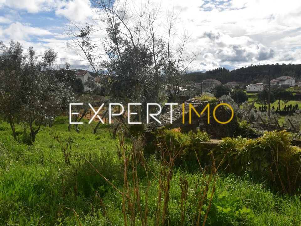 Villa i Figueiro dos Vinhos, Leiria - bilde 1