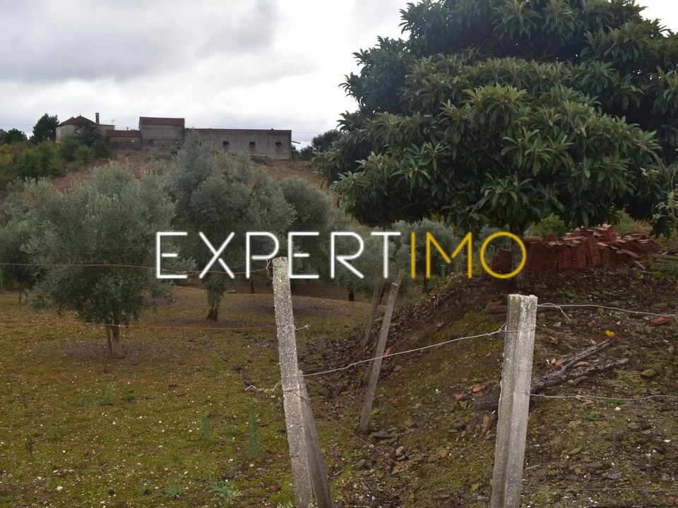 Helårsgrund i Pedrogao Grande, Leiria - foto 2
