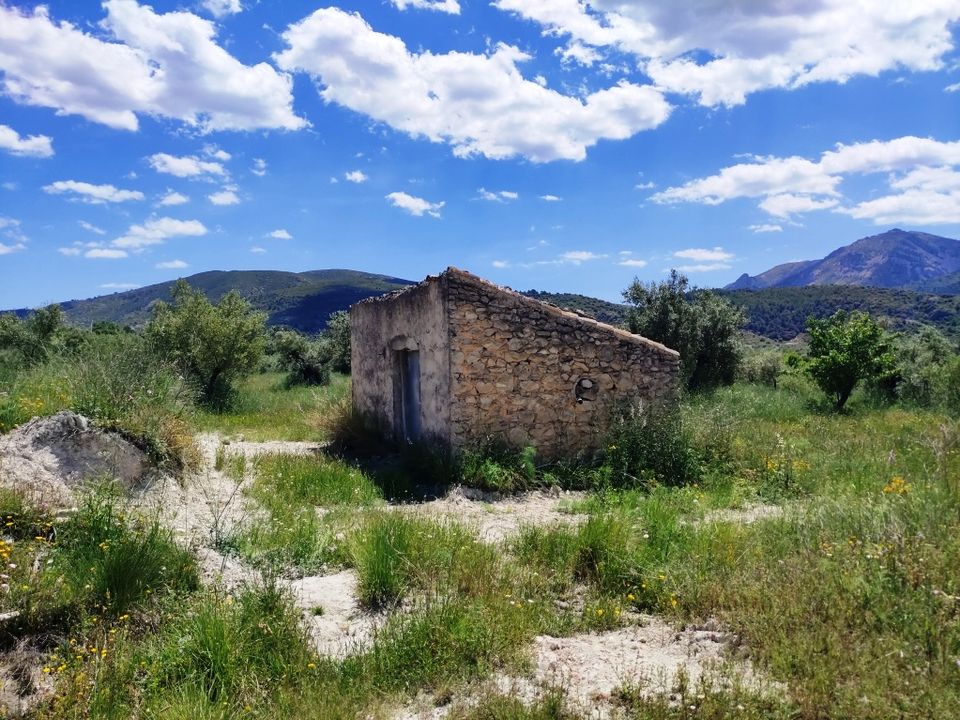 Helårsgrund i Benimassot, Alicante - foto 2