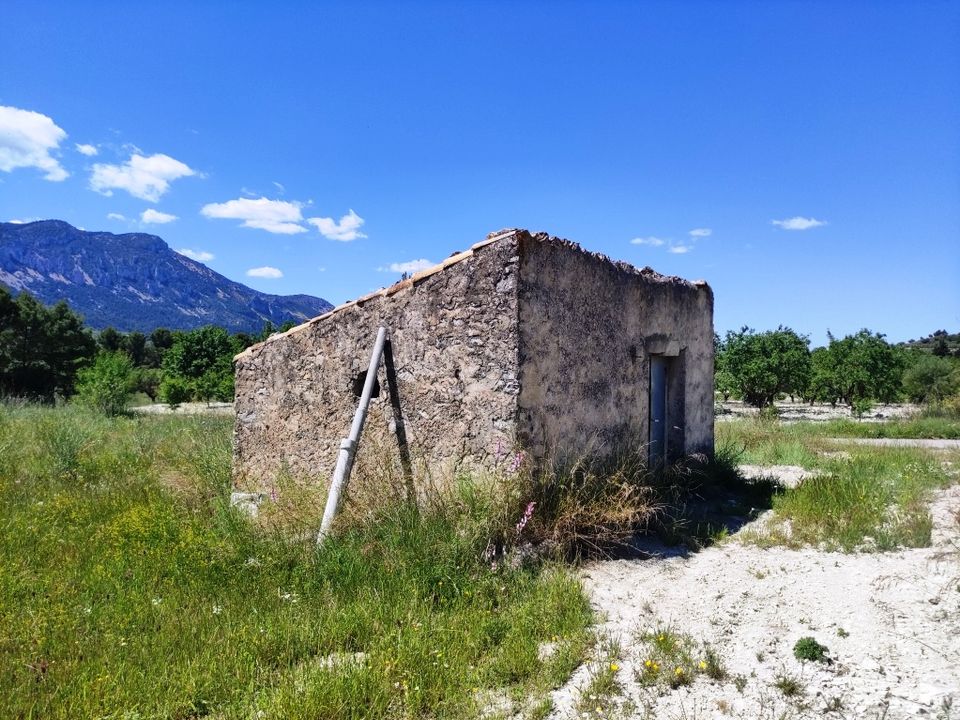 Helårsgrund i Benimassot, Alicante - foto 4