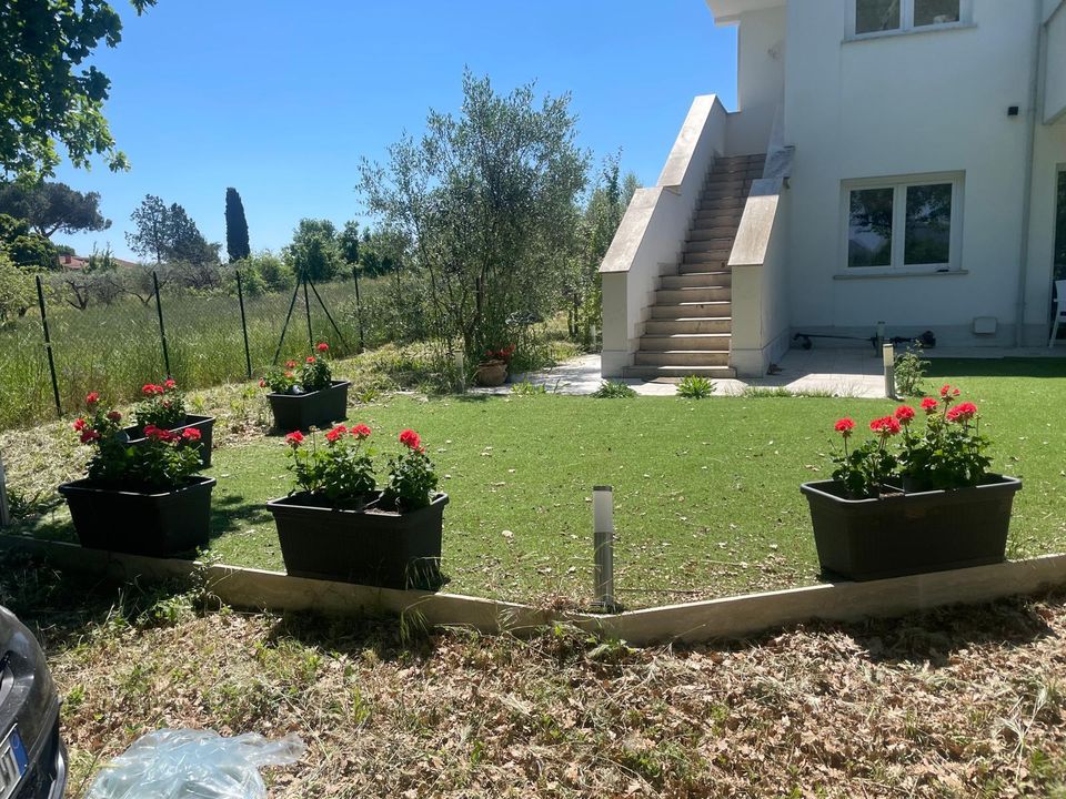 Apartment in Rignano Flaminio, Rome - photo 5