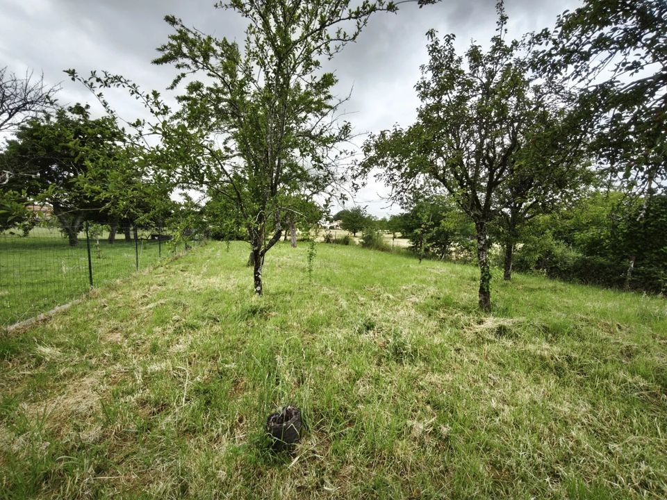 Helårsgrund i Gencay, Vienne - foto 3