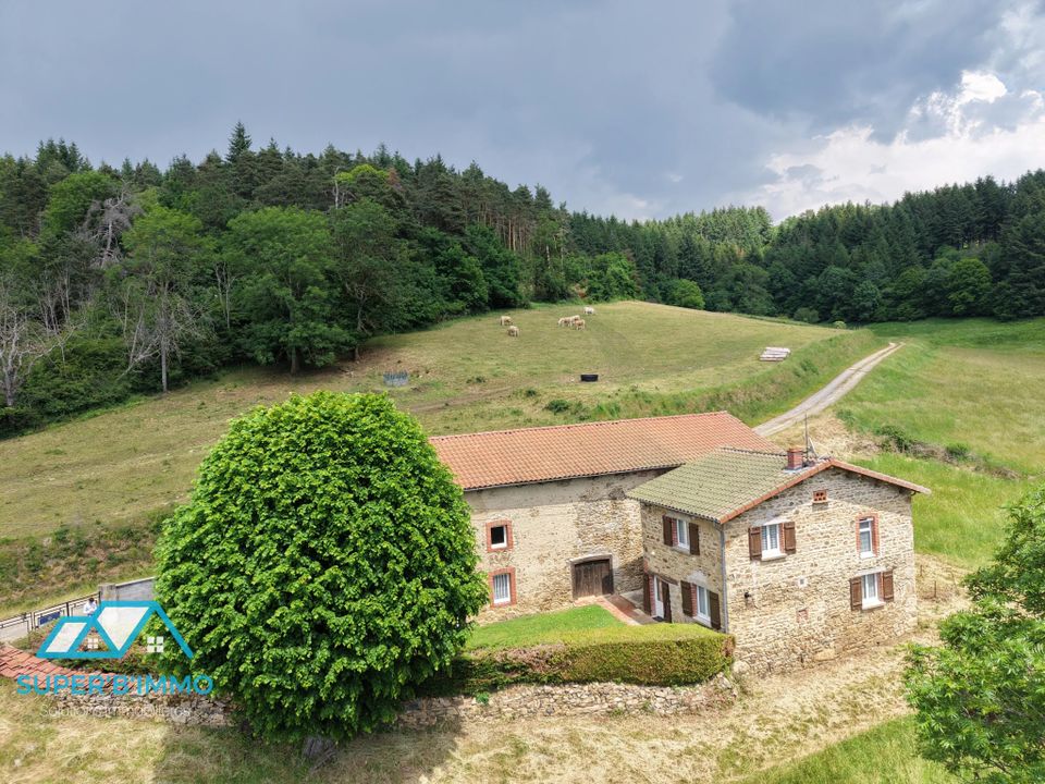 Villa i Champagnac-le-Vieux, Haute-Loire - foto 2