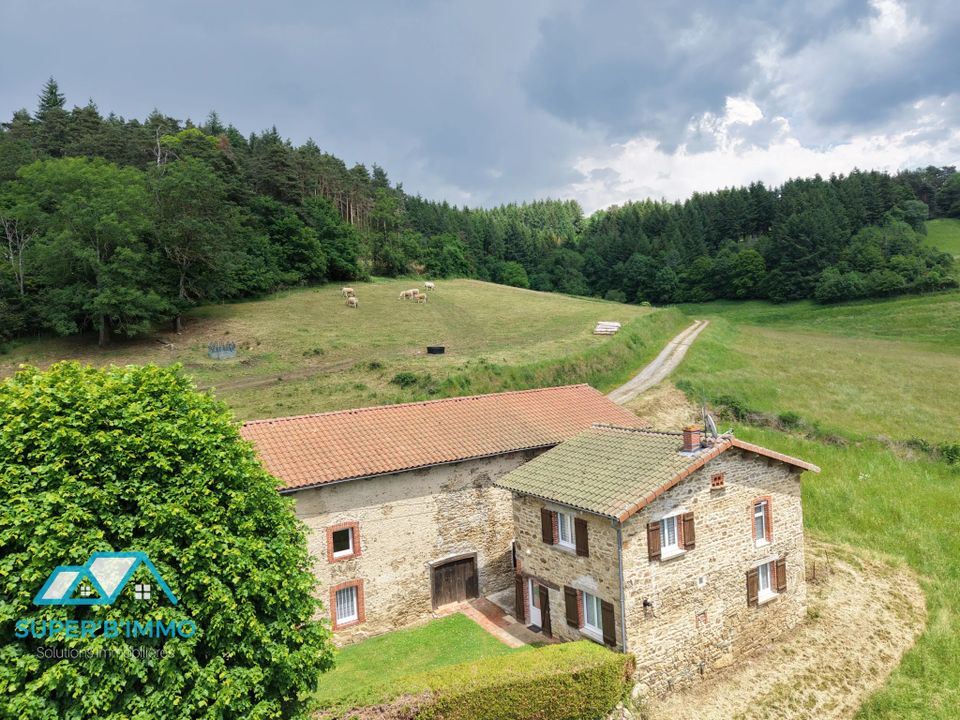 Villa i Champagnac-le-Vieux, Haute-Loire - foto 3