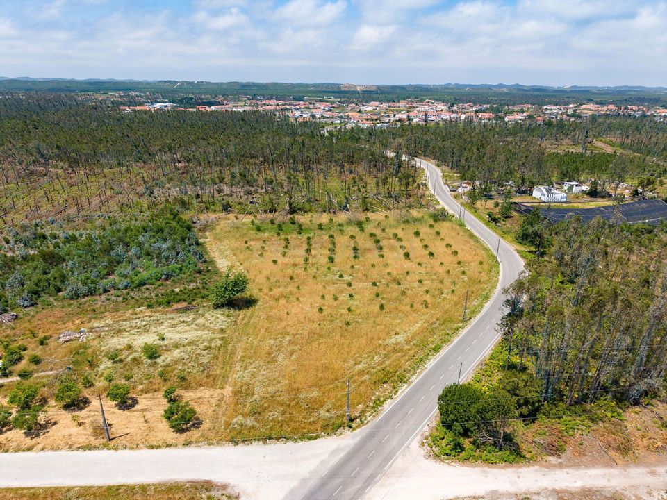 Helårsgrund i Marinha Grande, Leiria - foto 4