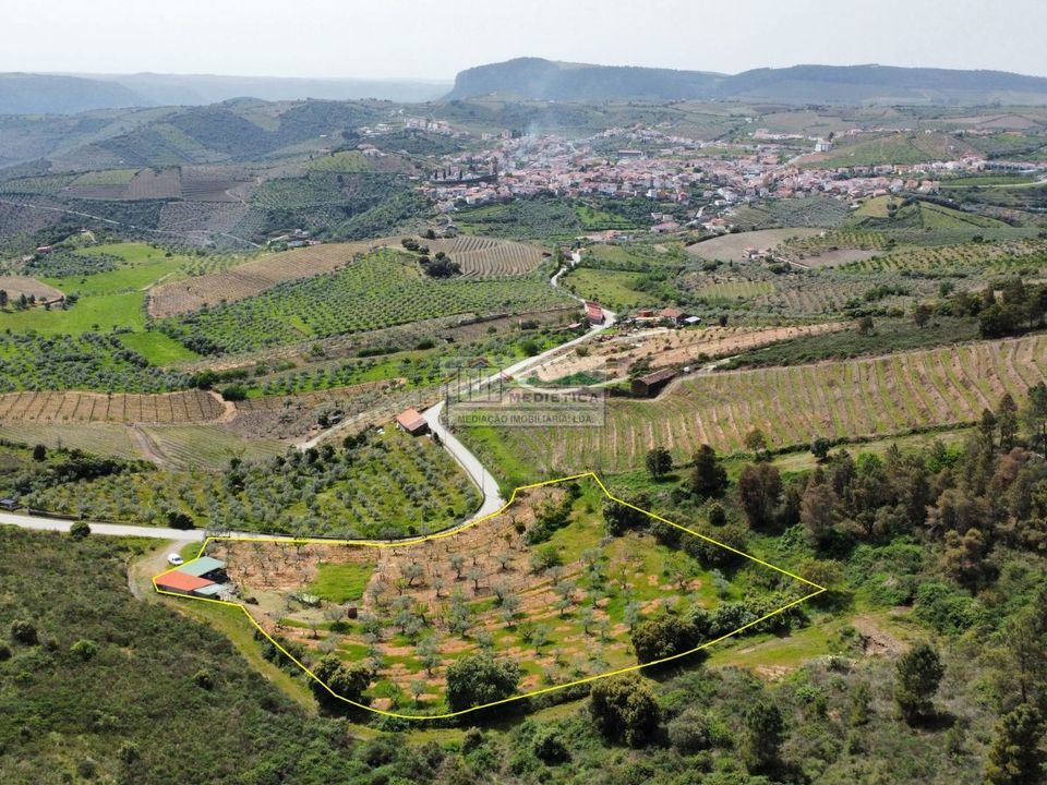 Farm i Freixo de Espada a Cinta, Braganca - foto 1