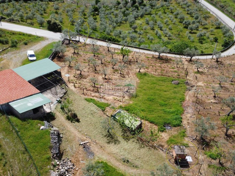 Farm i Freixo de Espada a Cinta, Braganca - foto 3