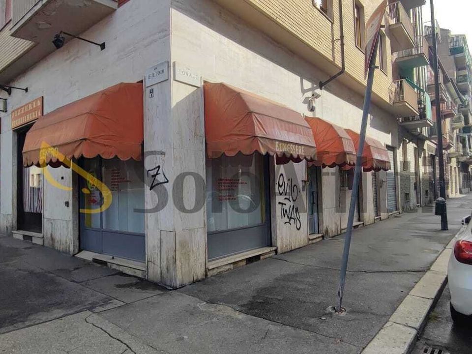 Erhvervsejendom i Torino, Turin - foto 3