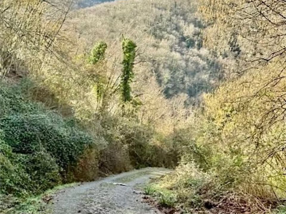 Landejendom i Castel Di Casio, Bologna - foto 5