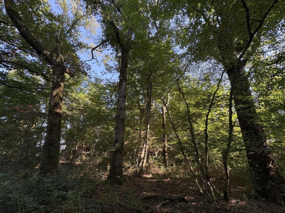 Grond in Chateauroux, Indre - foto 4