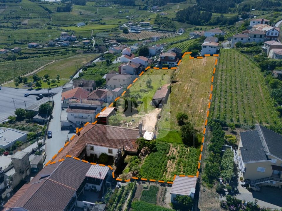 Farm i Guiaes, Vila Real - foto 2