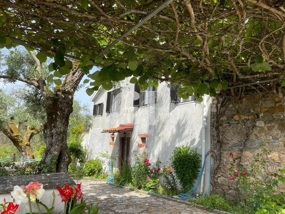 Byhus i Lousa, Coimbra - foto 3