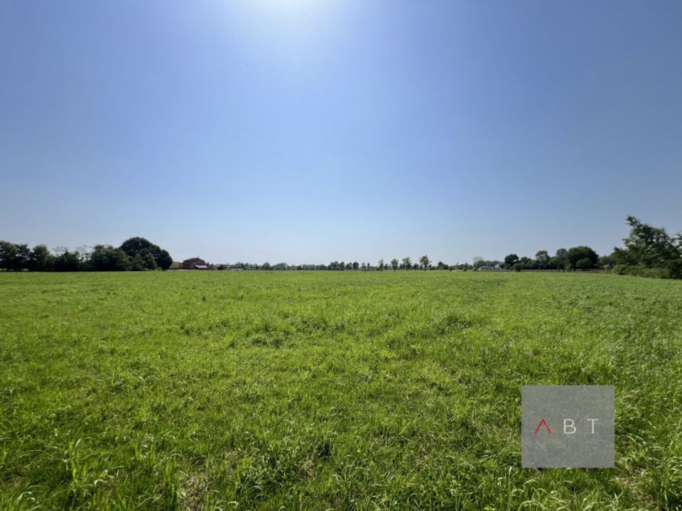 Helårsgrund i Villa del Conte, Padua - foto 1