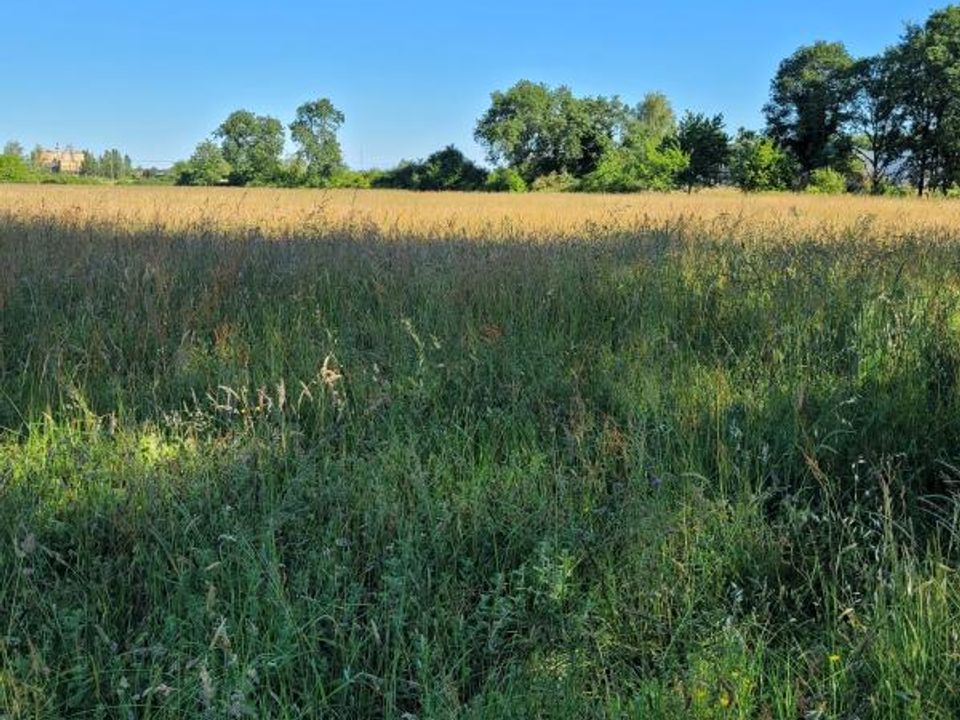 Tomt i Rieumes, Haute-Garonne - bilde 1