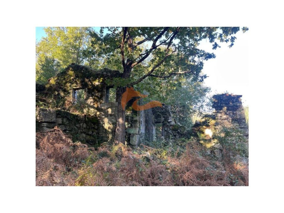 Farm i Oliveira do Hospital, Coimbra - foto 1