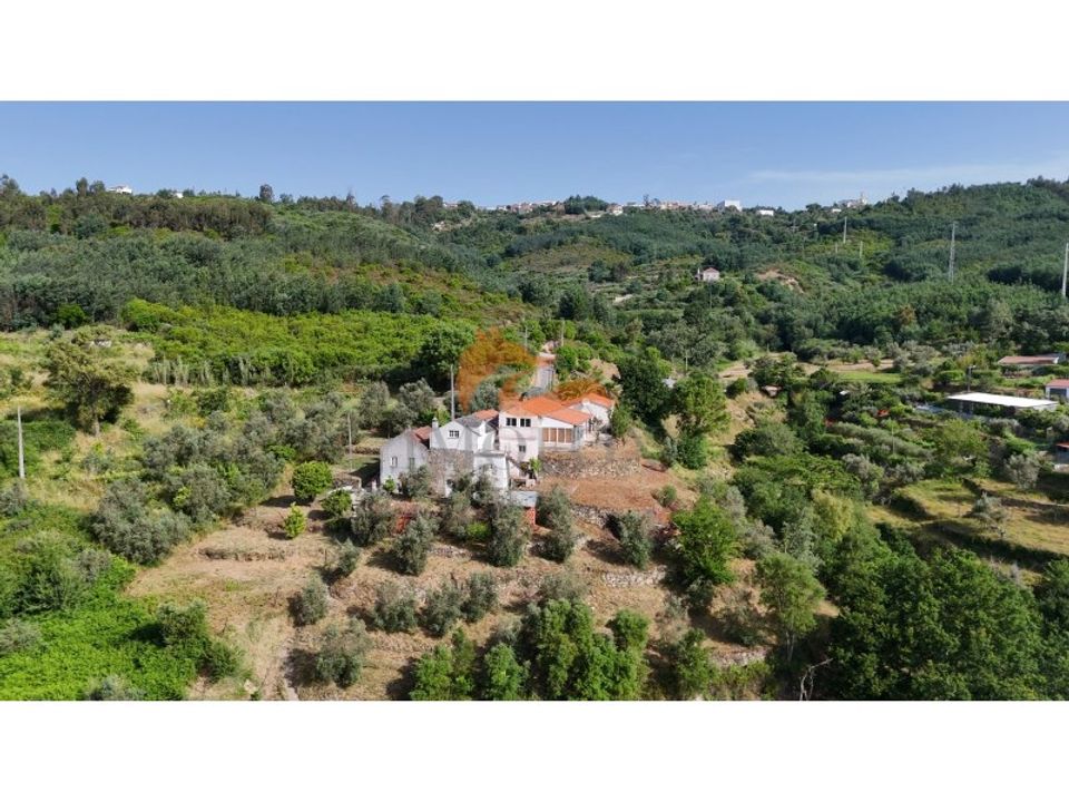 Farm i Penalva de Alva e Sao Sebastiao da Feira, Coimbra - foto 2