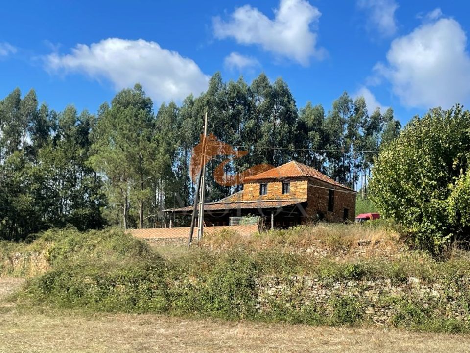 Farm i Tabua, Coimbra - foto 2