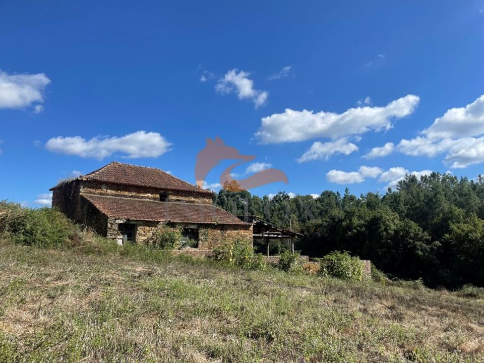 Farm i Tabua, Coimbra - foto 3