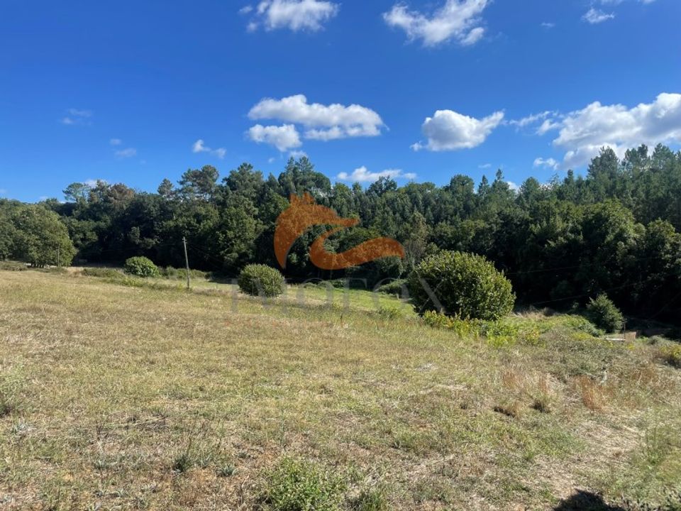 Farm i Tabua, Coimbra - foto 4