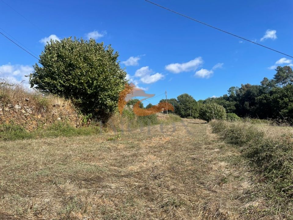 Farm i Tabua, Coimbra - foto 5