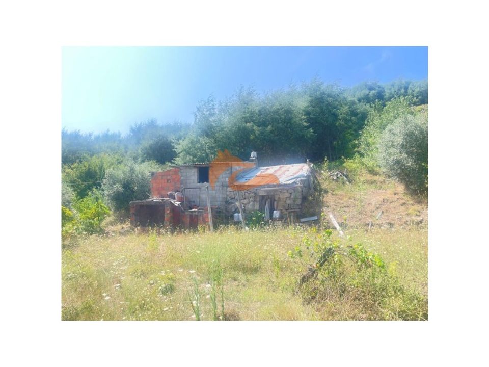 Farm i Oliveira do Hospital, Coimbra - foto 4