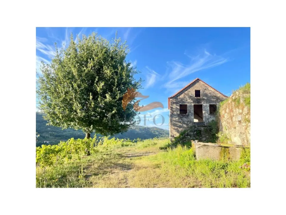Farm i Oliveira do Hospital, Coimbra - foto 1