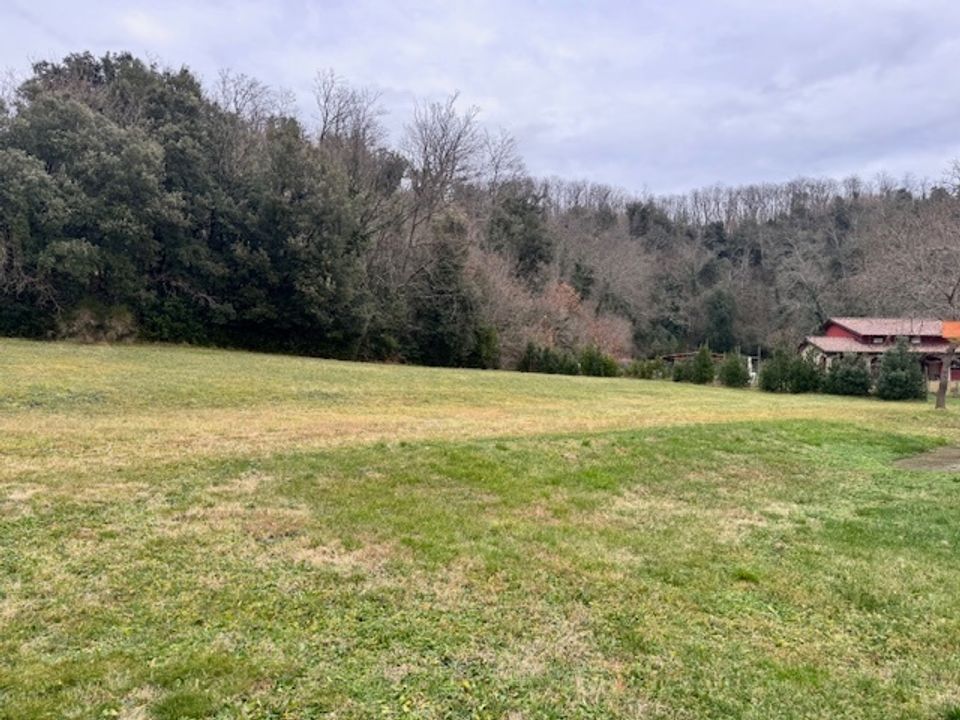 Villa a Collesalvetti, Livorno - foto 3