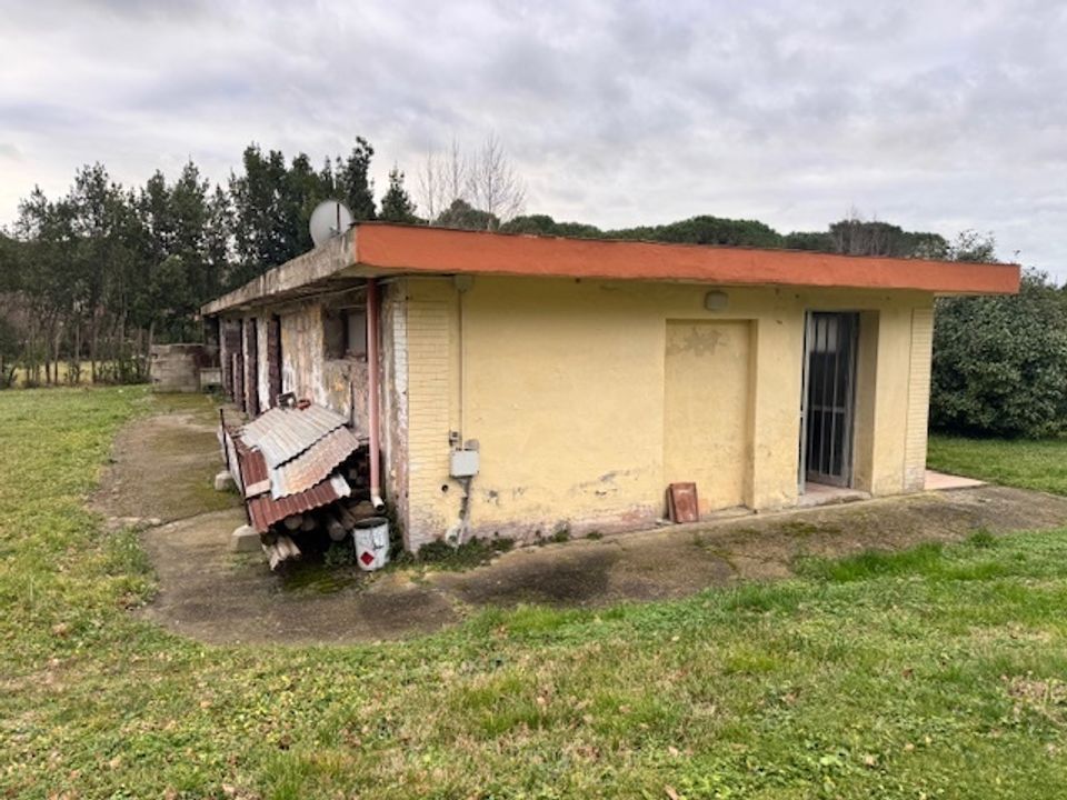 Villa a Collesalvetti, Livorno - foto 5