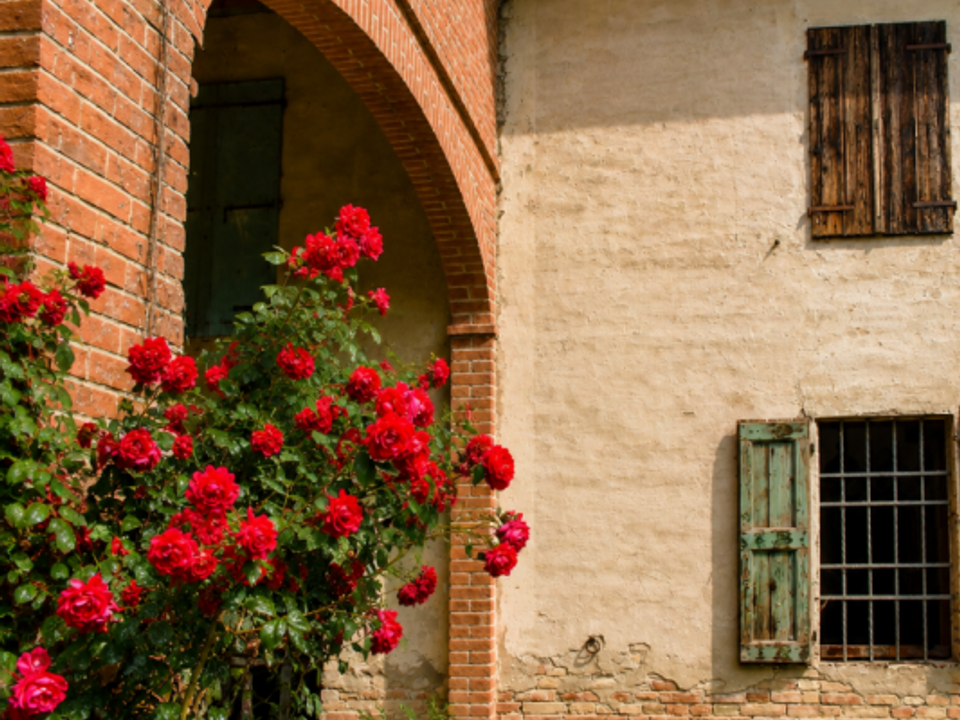 Landejendom i Sissa Trecasali, Parma - foto 3