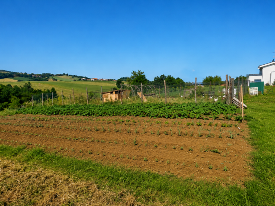Helårsgrund i Traversetolo, Parma - foto 5