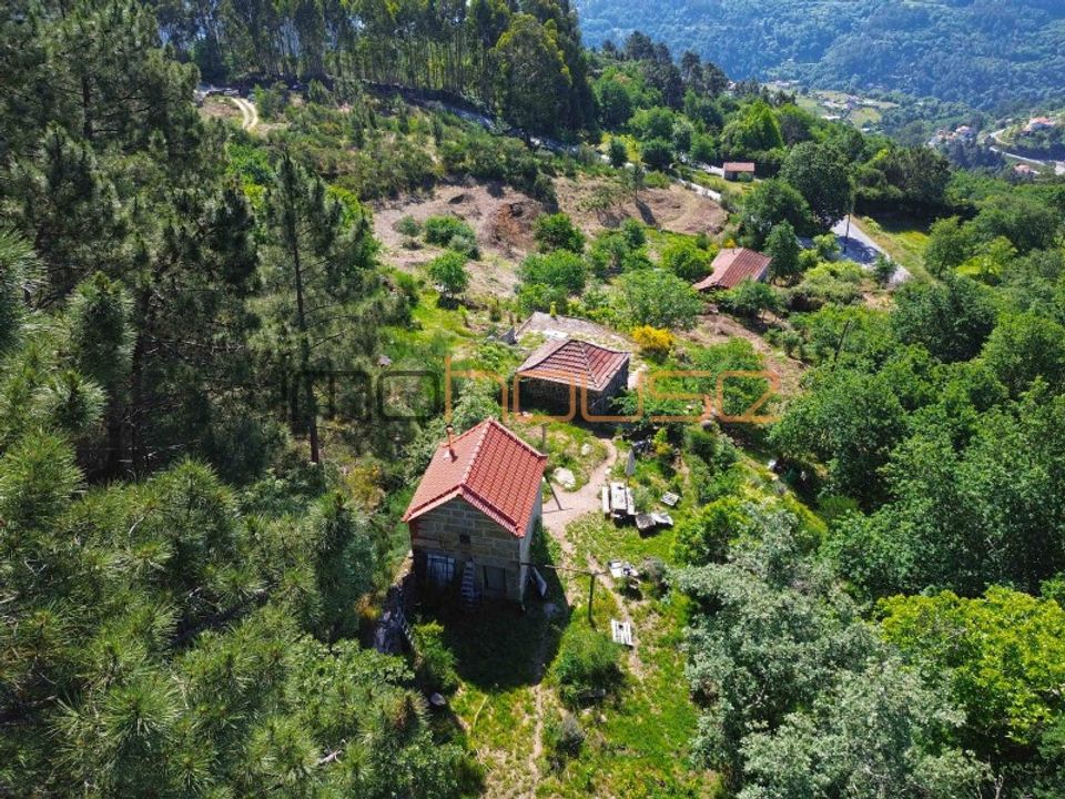 Farm i Penhalonga e Pacos de Gaiolo, Porto - foto 4