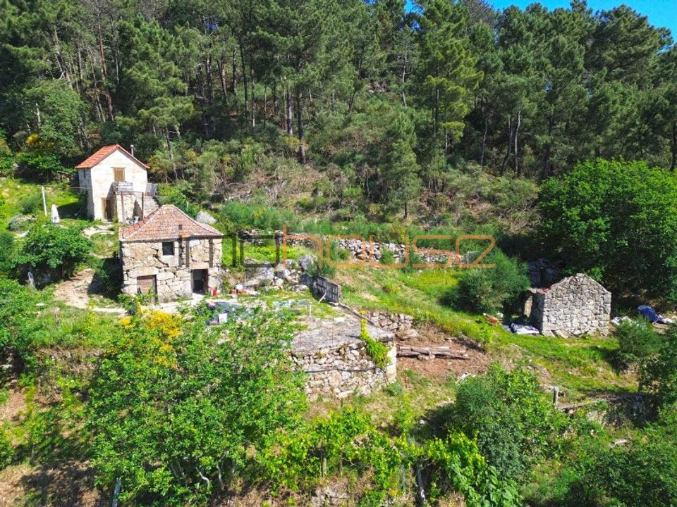 Farm i Penhalonga e Pacos de Gaiolo, Porto - foto 5