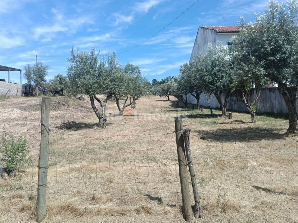 Helårsgrund i Carregueira, Santarem - foto 1
