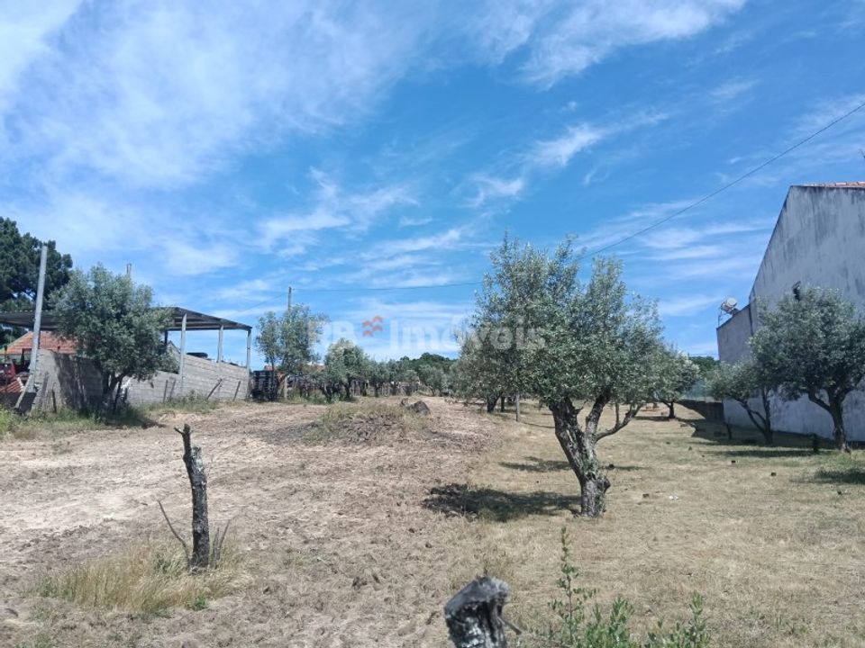 Helårsgrund i Carregueira, Santarem - foto 2