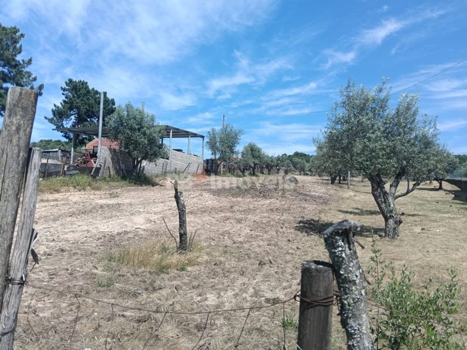 Helårsgrund i Carregueira, Santarem - foto 3