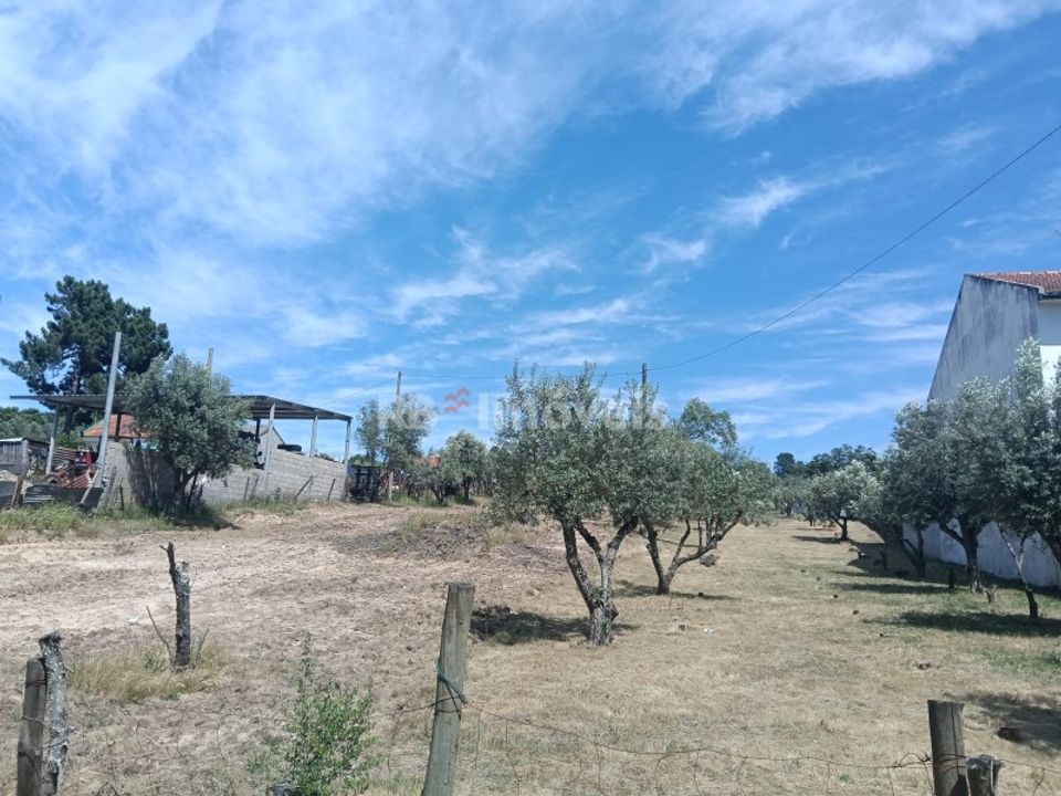 Helårsgrund i Carregueira, Santarem - foto 4